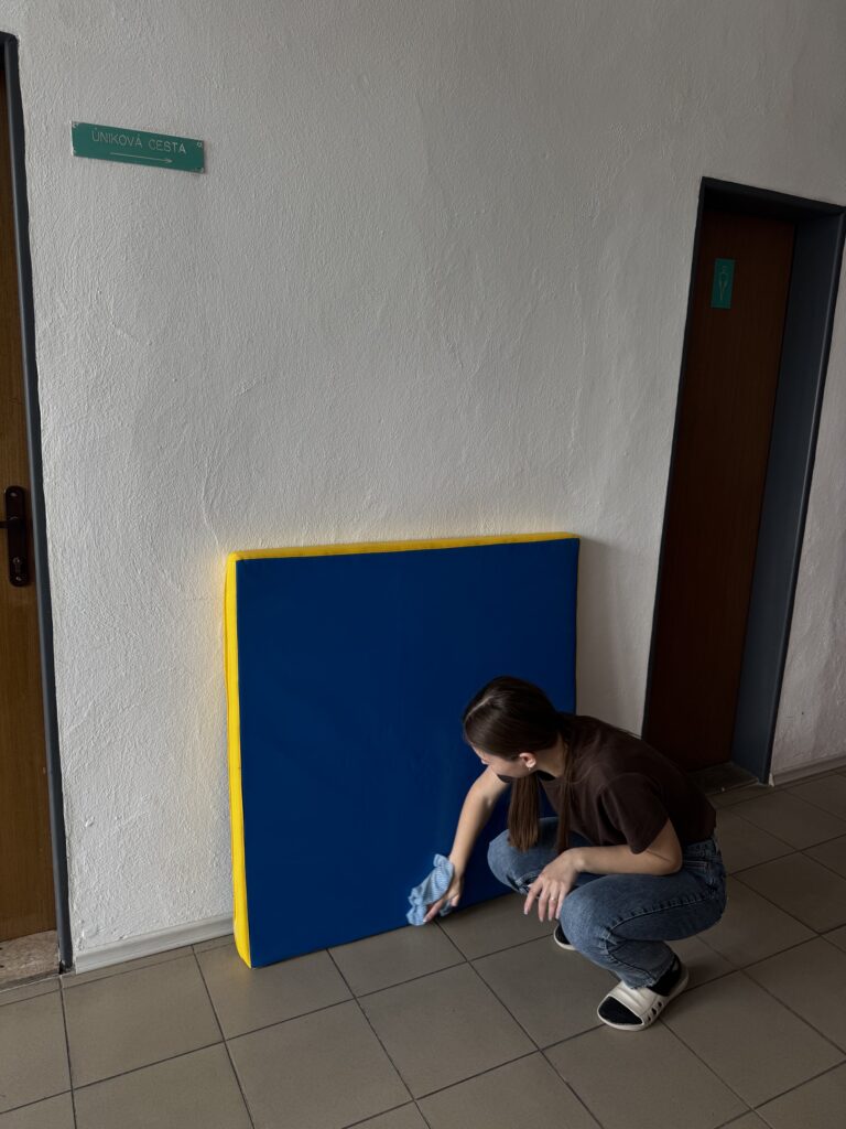IMG 0184